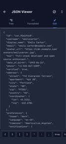JSON Viewer and Editor screenshot
