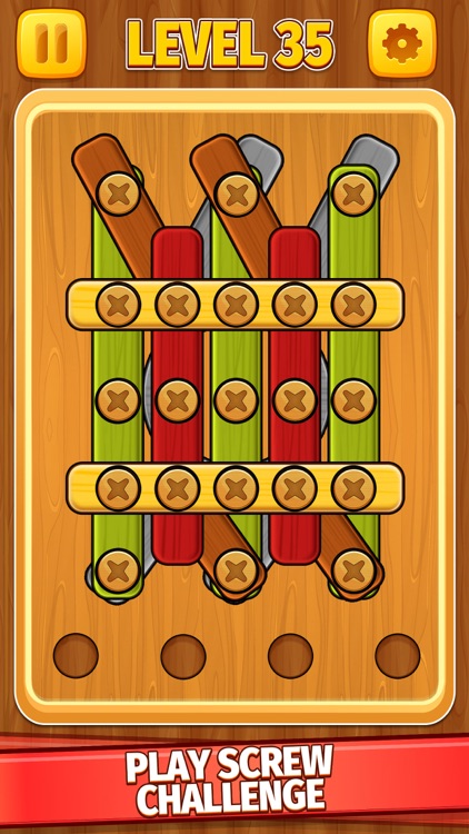 Wood Nuts & Bolts Screw Puzzle
