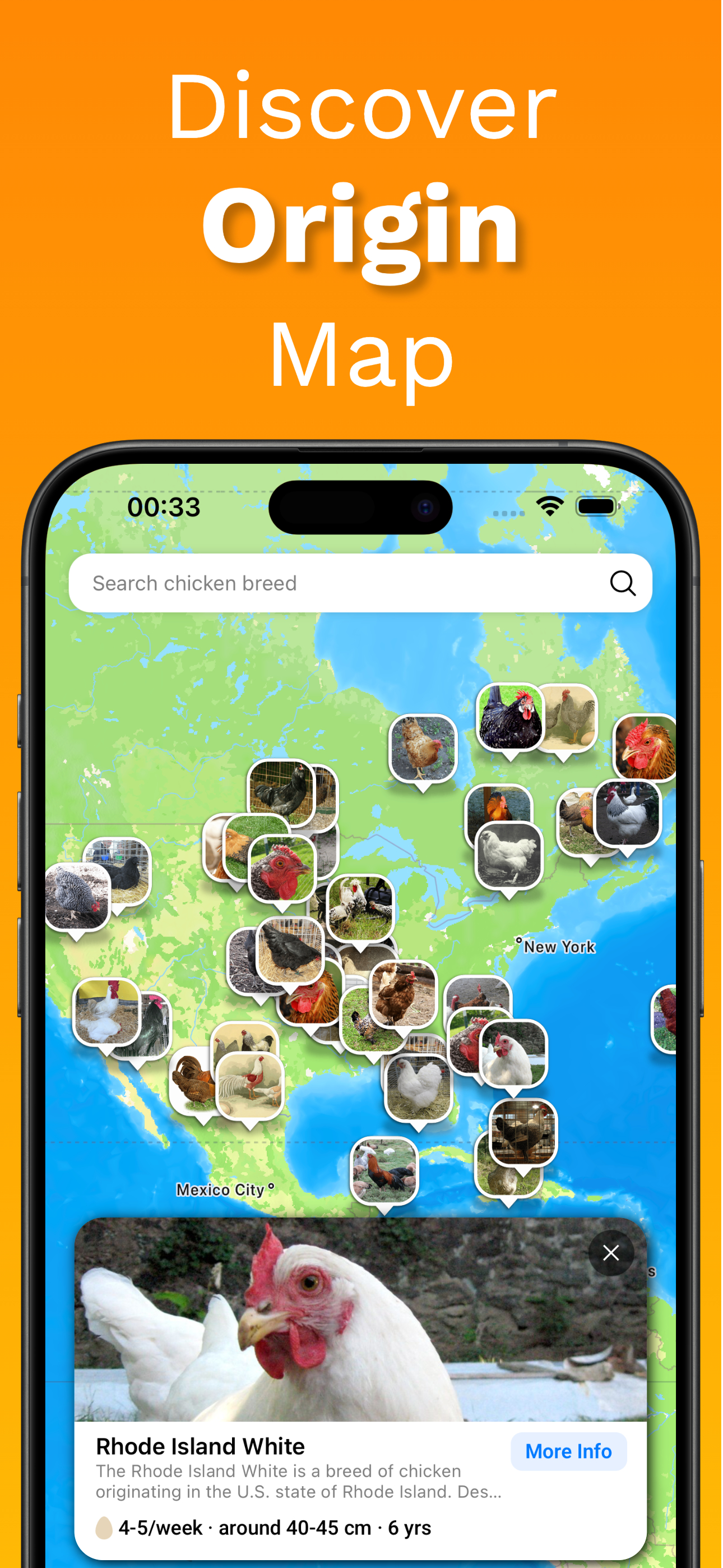 Chicken Identifier – RoostScan