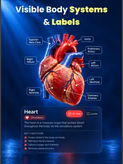 Complete Anatomy Learning 3D screenshot 7