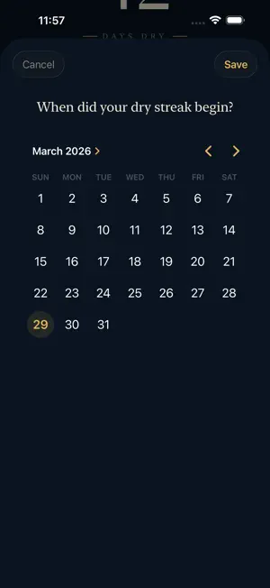 The Dry screenshot 4