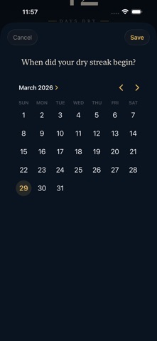 The Dry Screenshot 4 of 5