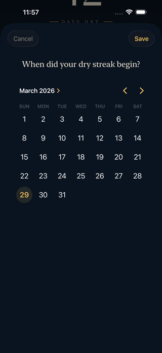 The Dry Screenshot 4 of 5