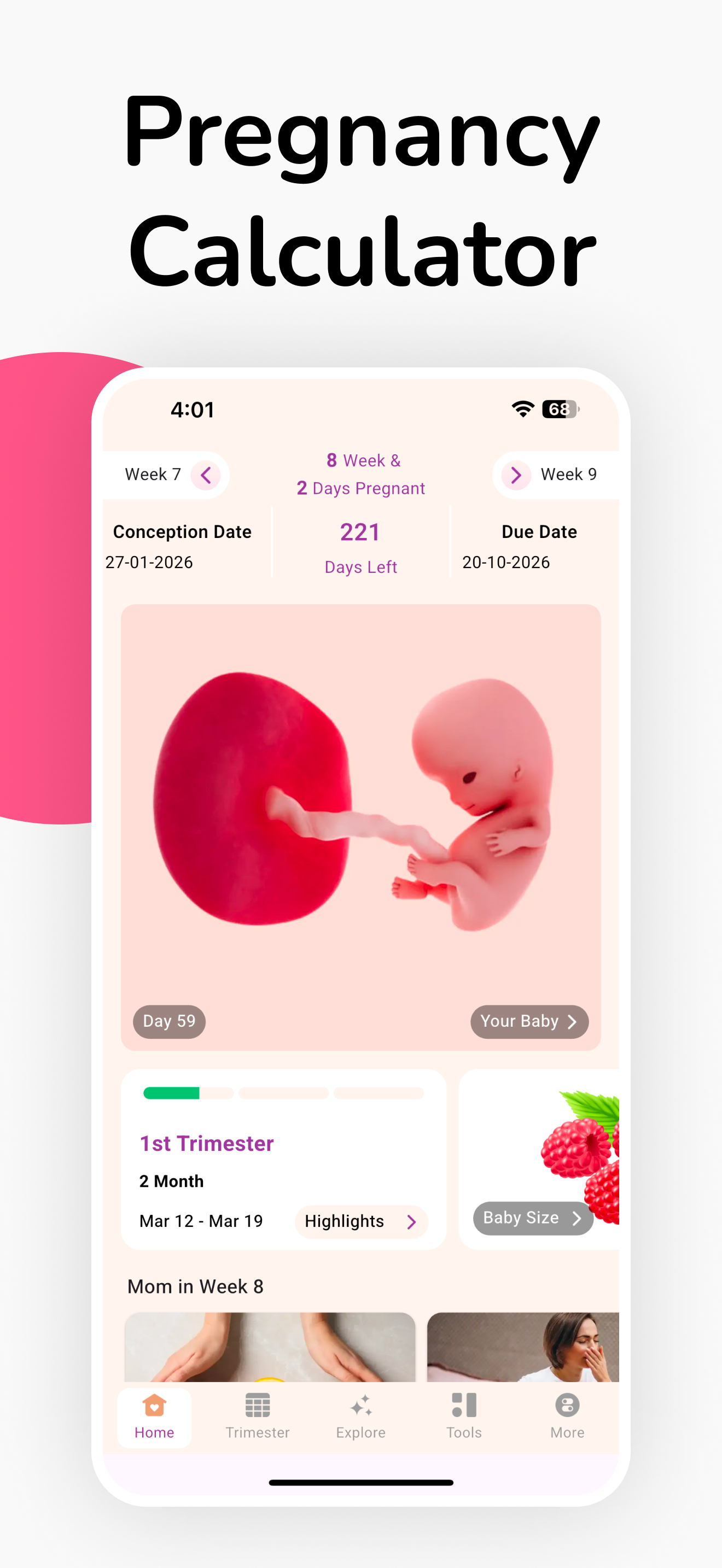 Pregnancy Tracker Week by Week
