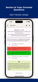 Anti Money Laundering Test screenshot