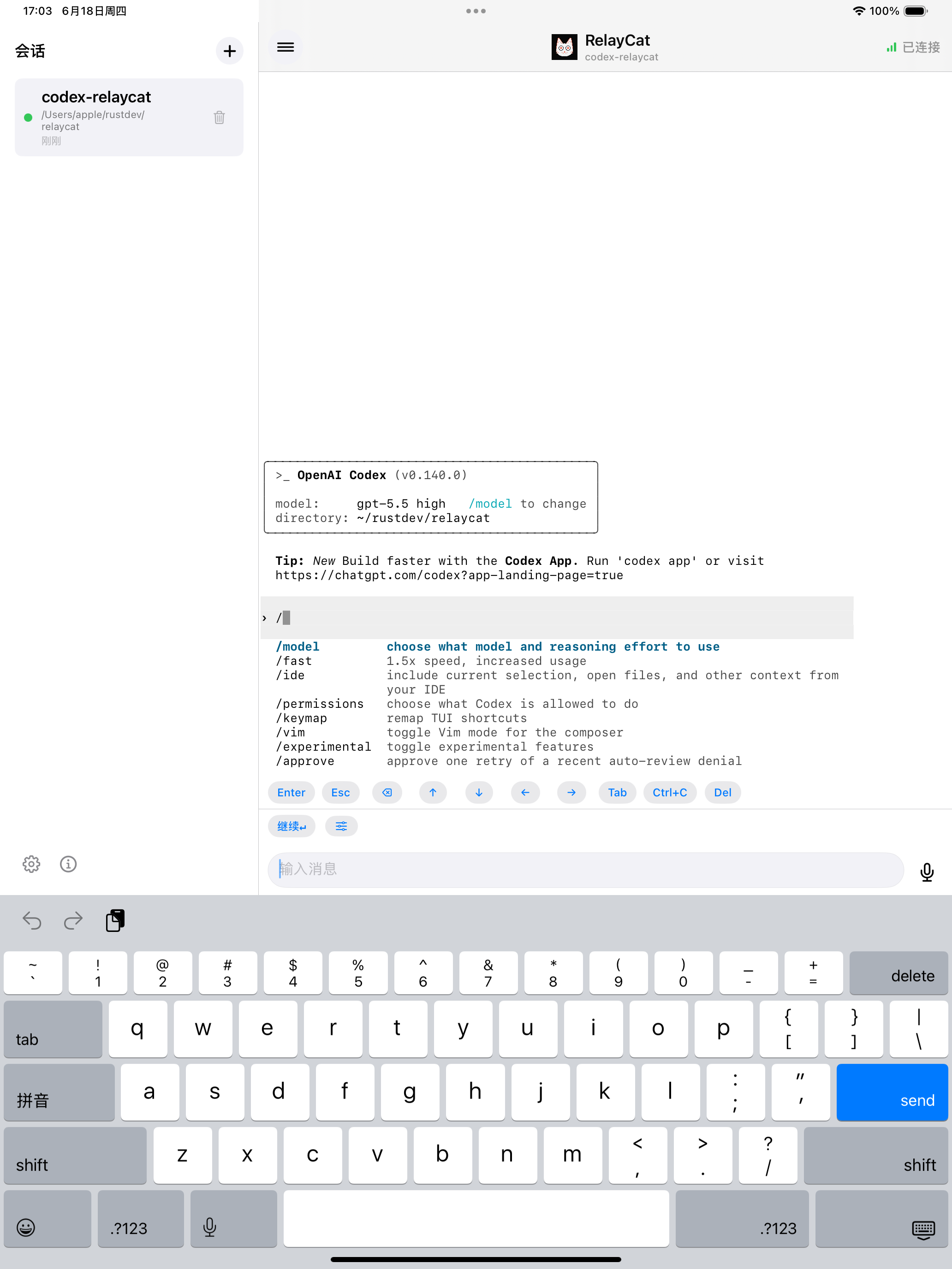 RelayCat编程助手 screenshot 6