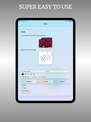VoxNote: Audio Journal iPad screenshot