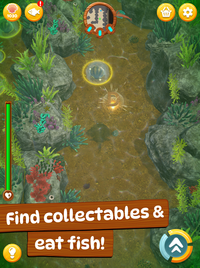 Angelshark Sea Survival