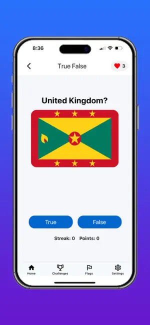 Flags: World Quiz screenshot 1