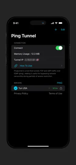 Screenshot von Ping Tunnel : VPN Over ICMP auf dem iPhone 1