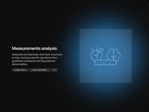 Fetoly-AI Ultrasound Assistant screenshot 3