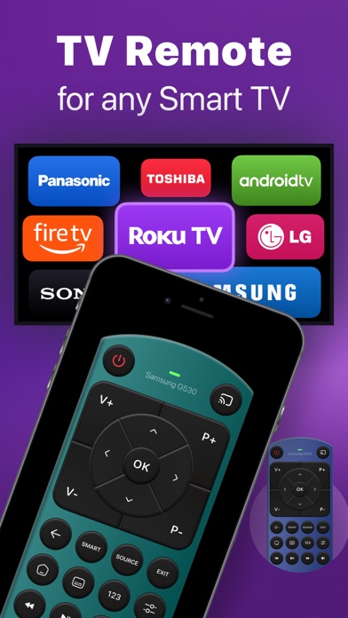 TV Remote Control・Universal Screenshot
