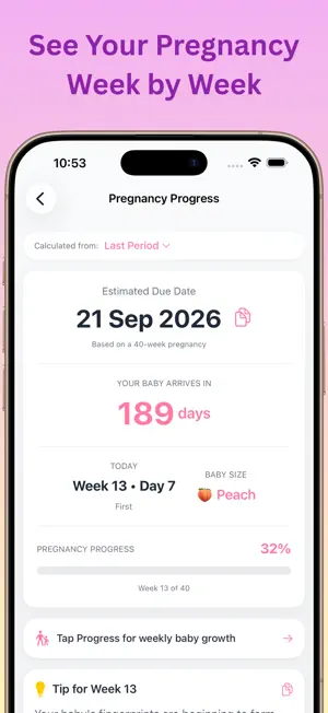 Pregnancy Tracker: Due Date screenshot 2