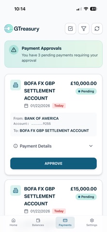 GTreasury screenshot