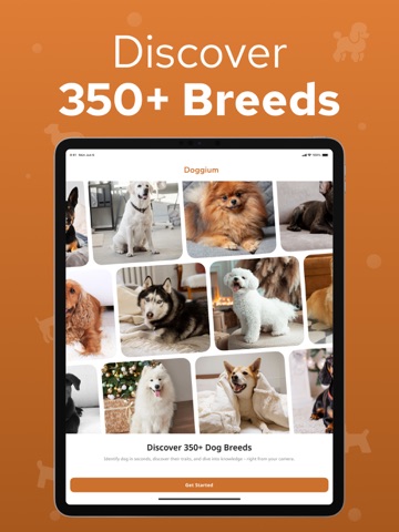 Dog Breed Identifier – Dogium iPad screenshot