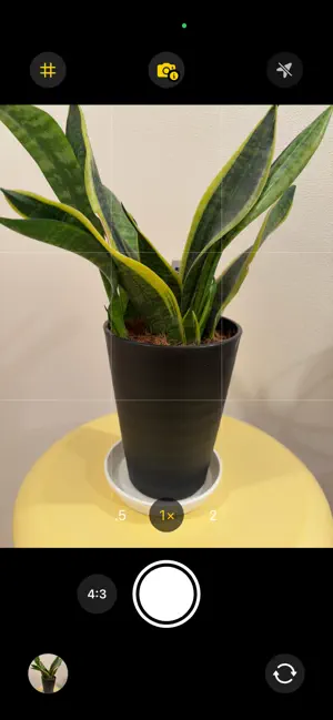 SimplePhotoCam screenshot 2