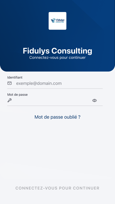Fidulys Consulting screenshot