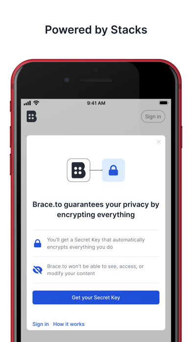 Brace.to - Bookmark Manager Screenshot