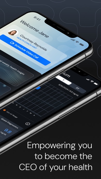Fountain Life Screenshot