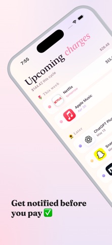 SubBye - Subscription Tracker iPhone screenshot
