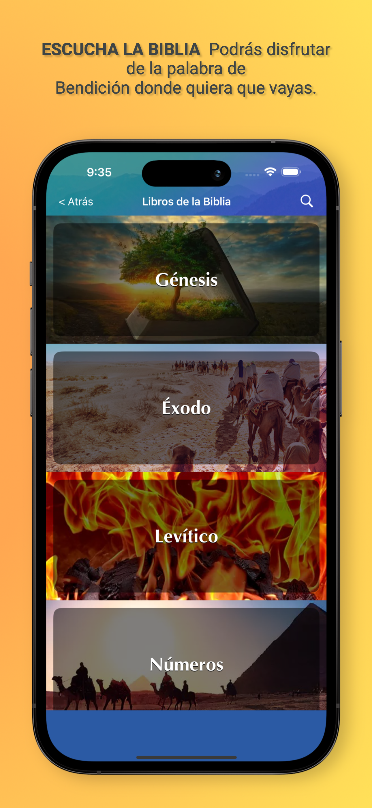 Biblia Hablada en Audio screenshot 3
