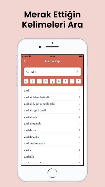 Türkçe Sözlük ve Kelime Oyunu screenshot-8