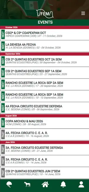 FEM screenshot 1