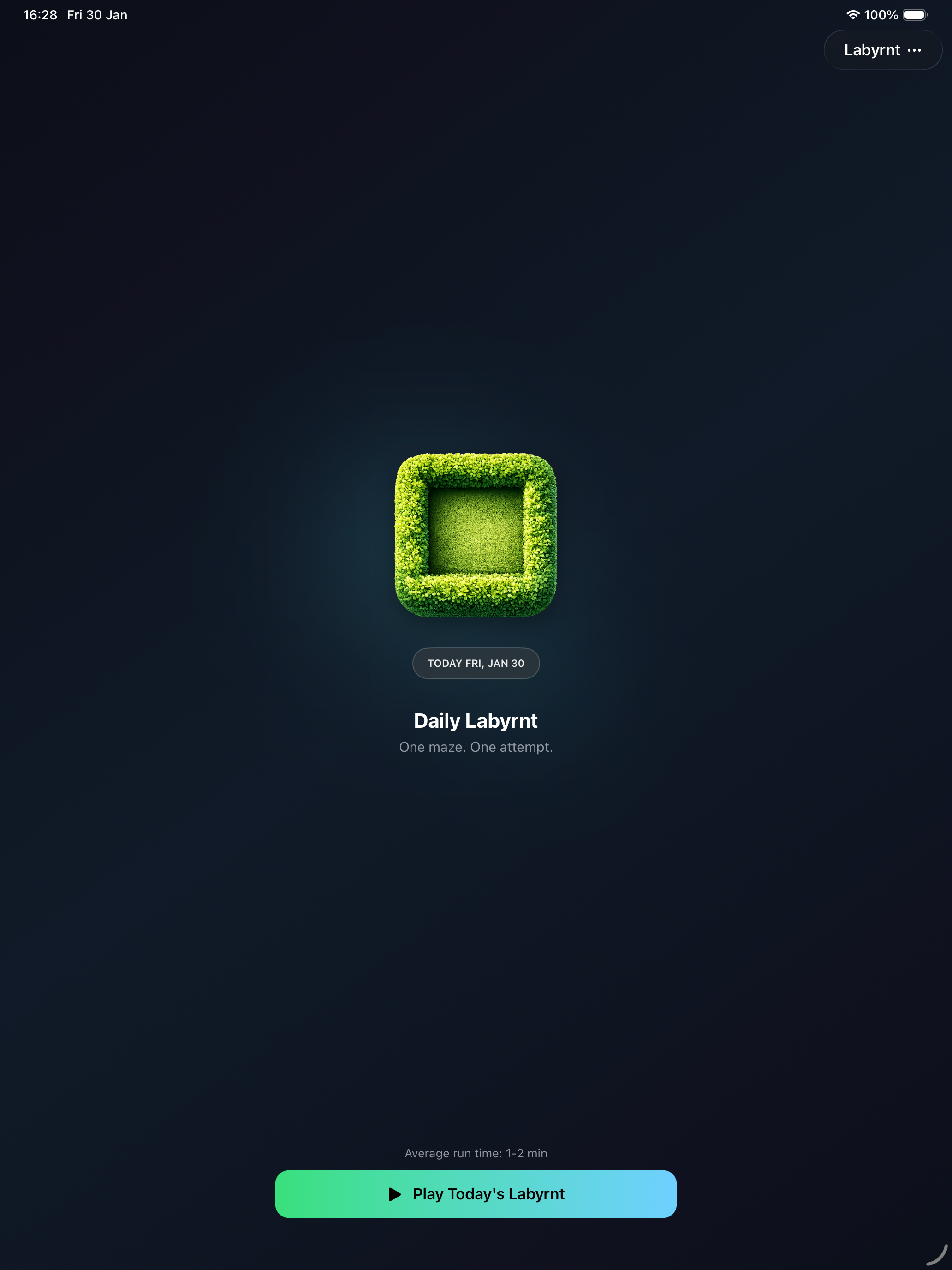 Labyrnt screenshot 7