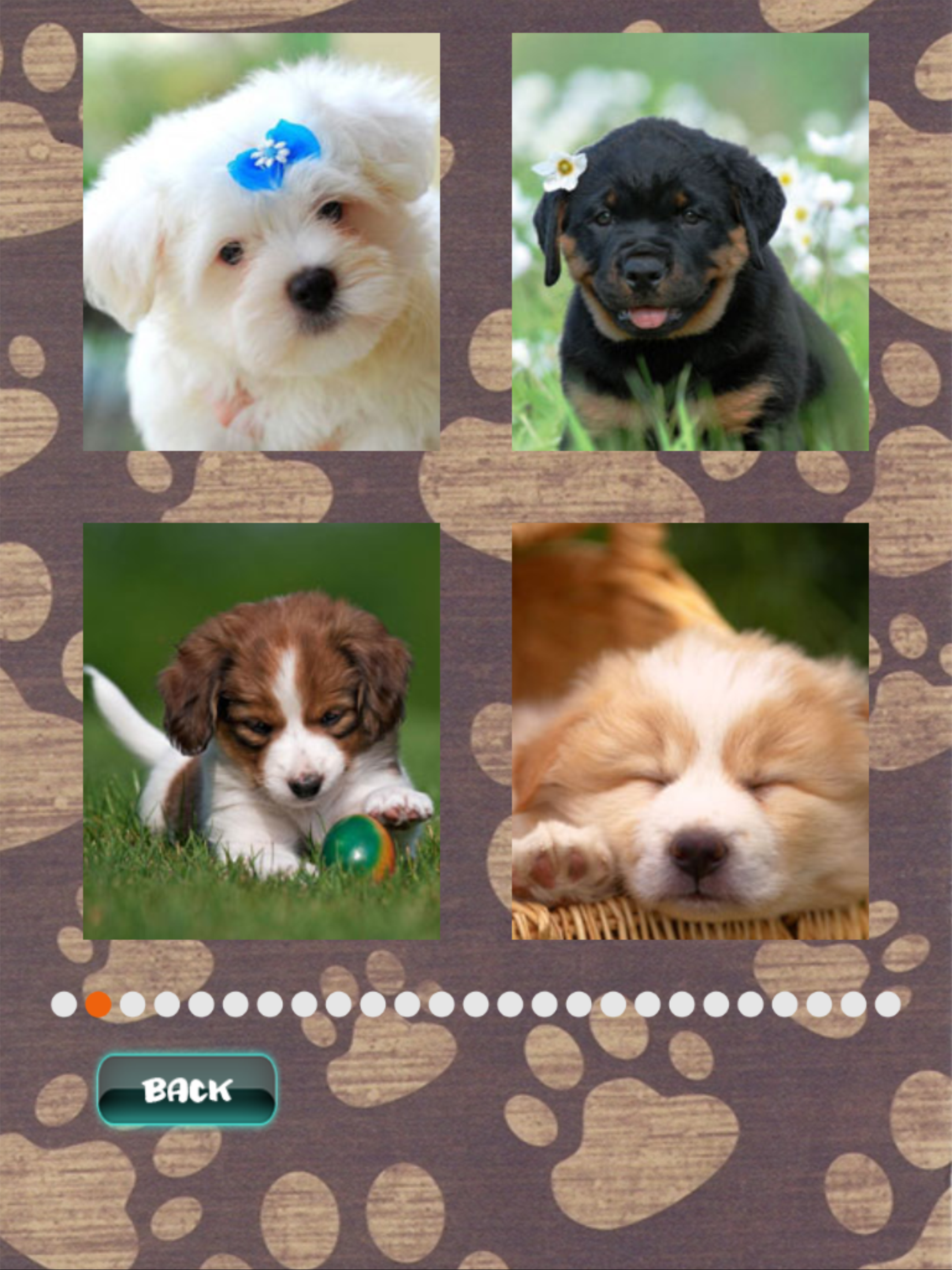 Cute Puppies Puzzle screenshot 7