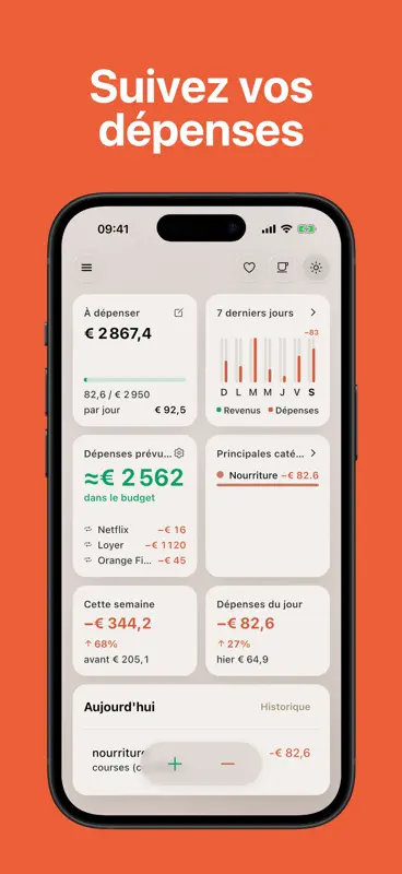 Gestion Budget: Money Gone screenshot 1 of 10