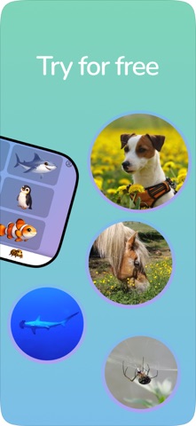 Sensory Book: Toddler videos Screenshot 6 of 6