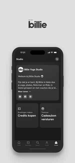 Billie Studio screenshot 4