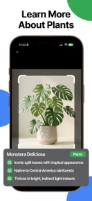Identify Anything & Lens Scan screenshot