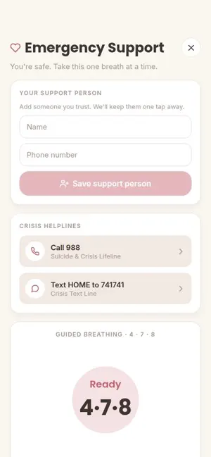 Flow7 Thrive screenshot 3