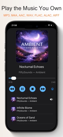 Off-Grid Music Player Screenshot 2 of 5
