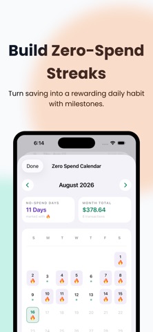Spent Today: Expense Tracker iPhone screenshot