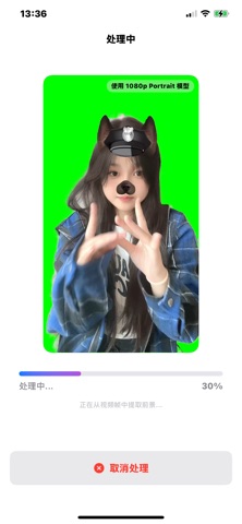 VideoMatting screenshot