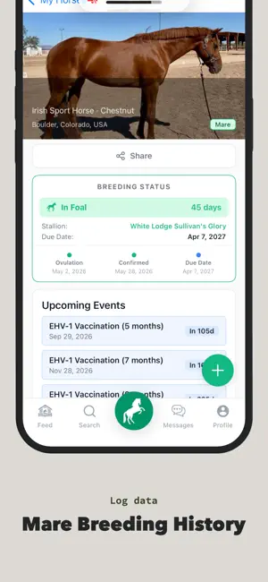 StallionApp screenshot 2