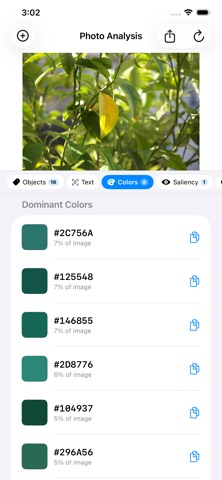 Photo Analysis Screenshot 2 of 4