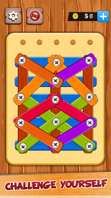 Wood Nuts & Bolts Screw Master Screenshot