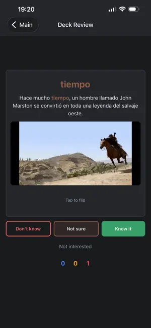 LingoFuse screenshot 2