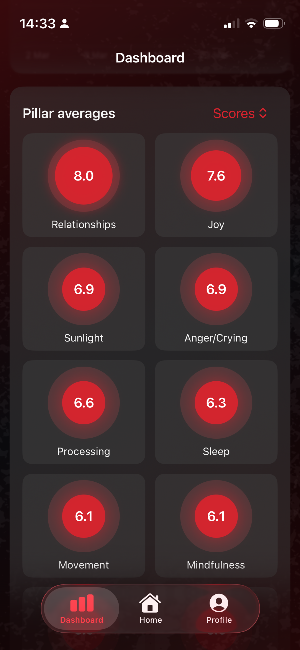 The 10 Pillars Test screenshot 2