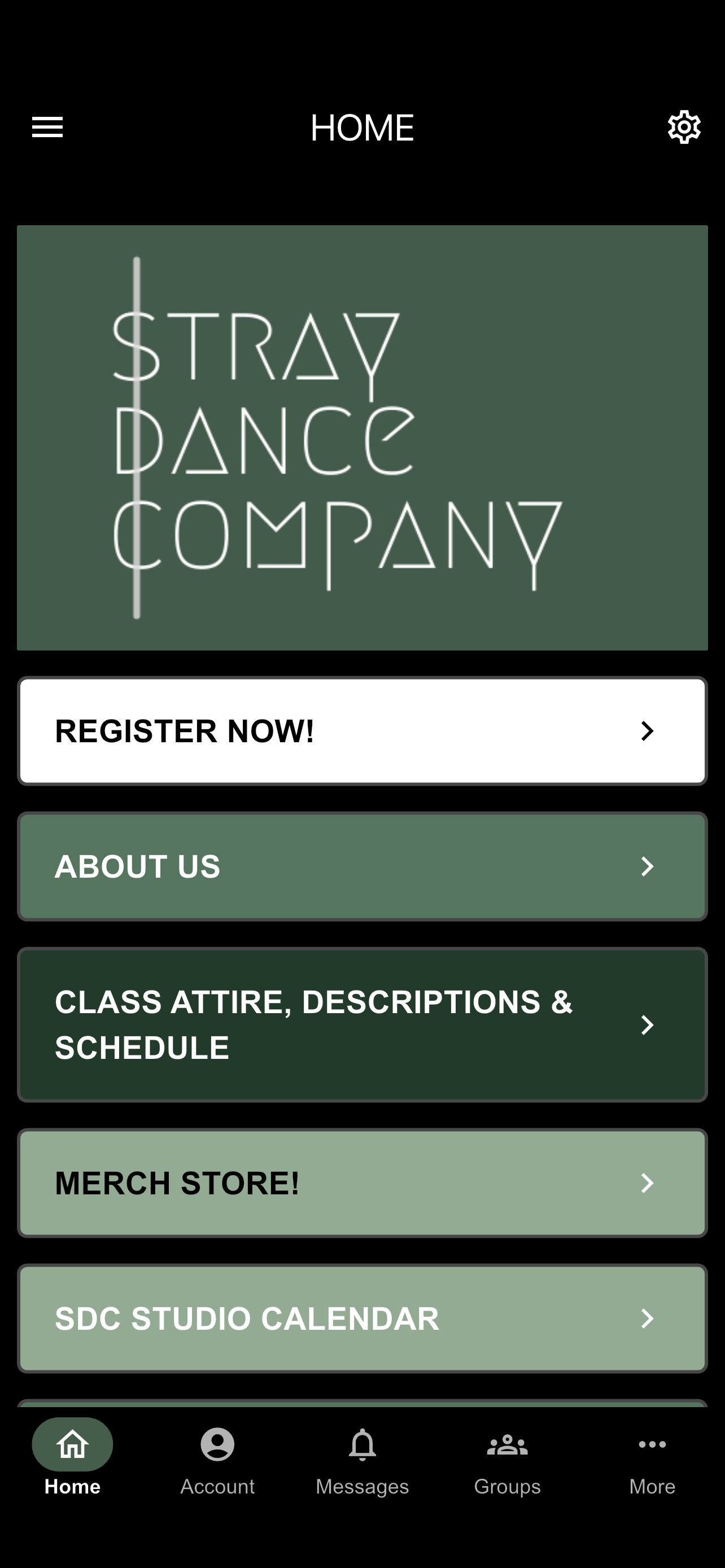 Stray Dance Company screenshot 2
