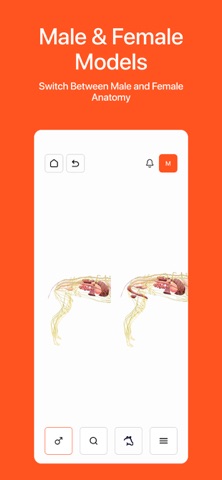 Vetty 3D app Screenshot 4 of 7