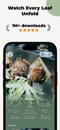 Fern screenshot 2