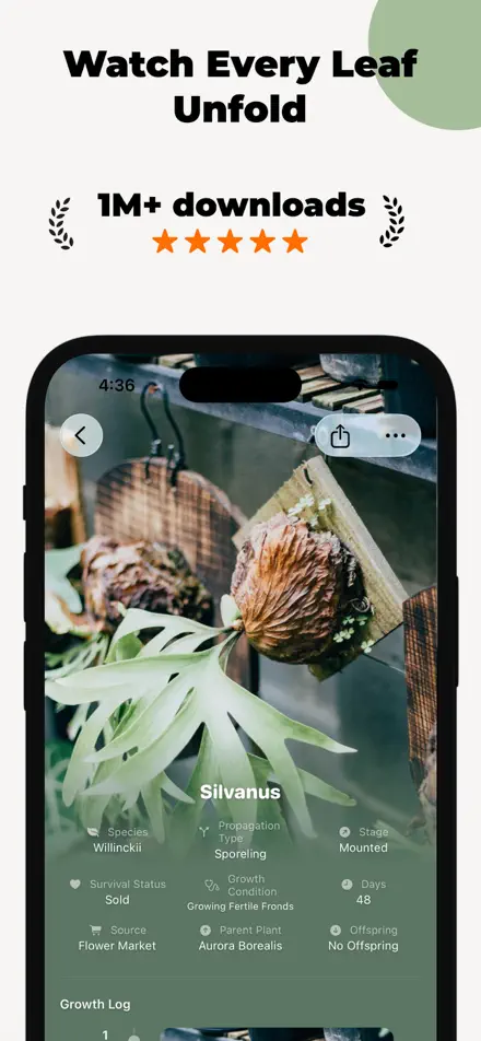 Fern screenshot 2