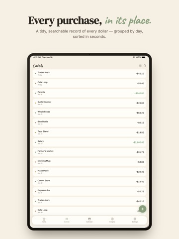 Envelope Budget App - Tuck iPad screenshot
