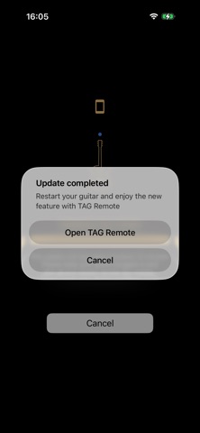 TAG Updater iPhone screenshot