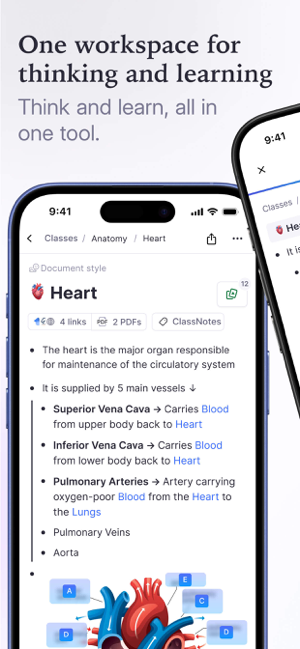 ‎RemNote - Notes & Flashcards Screenshot