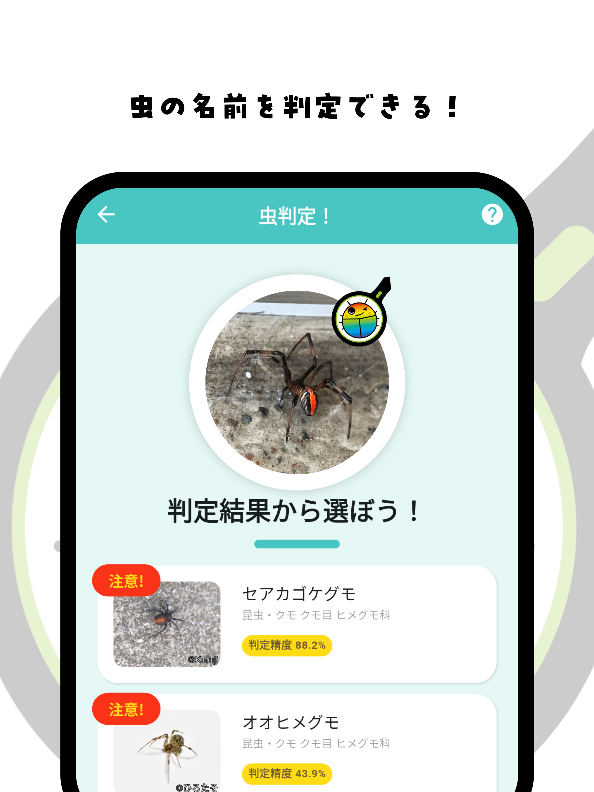 虫みっけ！